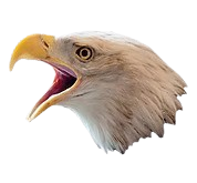 Eagles Eye Cleaning